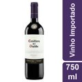 Vinho Chileno Casillero Del Diablo Merlot Tinto750ml