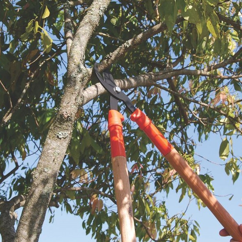 Tesoura Tramontina para Poda com Cabo Longo