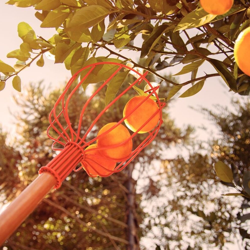 Colhedor de Fruta Tramontina sem Cabo - Embalagem com 6 Unidades
