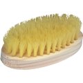 Escova p/ Roupa Nylon Referência 16 Oval - 12 unidades - Condor