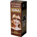 Palito de Dente Gina 100 Palitos - Embalagem com   25 Unidades