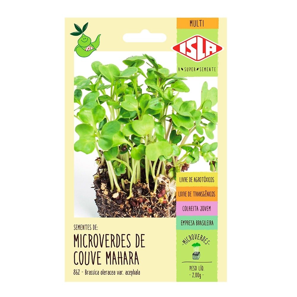Sementes Microverdes de Couve Mahara Isla, 2g - Embalagem com 20 Unidades