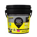 Pintura Asfáltica Acqua Quartzolit Impermeabilizante Balde 18 Litros