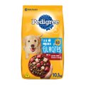 Ração para Cachorro Pedigree Premium Filhotes Raças Médias e Grandes 10,1kg