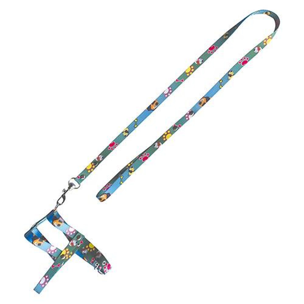 Guia De Corda Com No Furacao Pet 60 Cm - 16 Mm