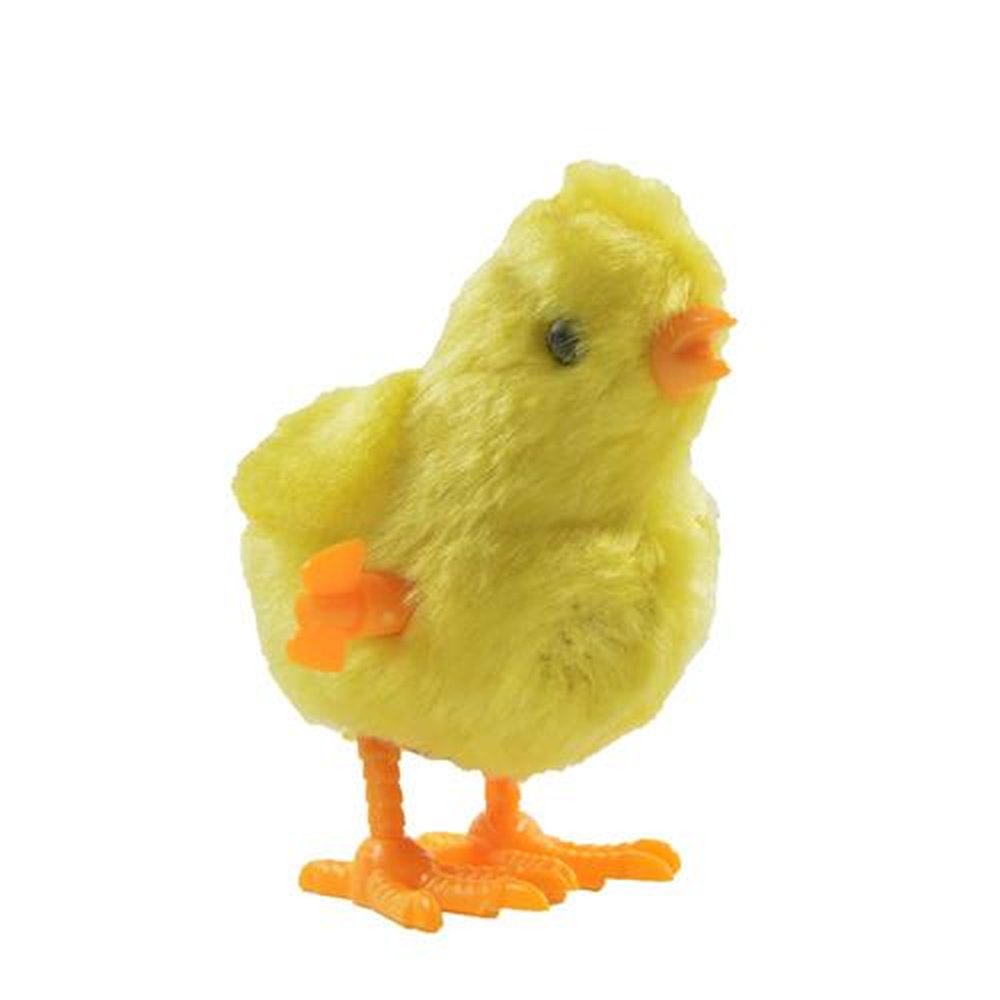 Pintinho À Corda