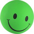 Brinquedo Cao Bola Macica Sorriso