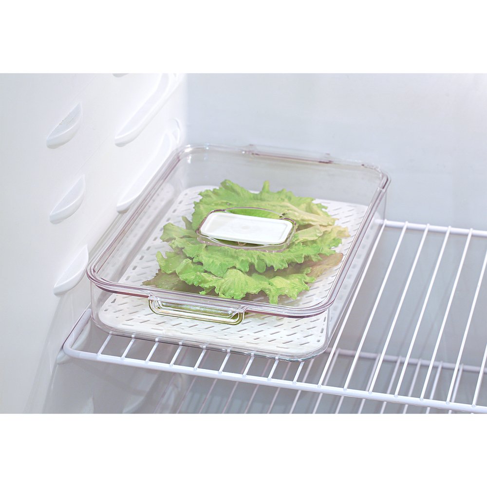 Organizador Geladeira Com Escorredor 32x16,5x5,5c