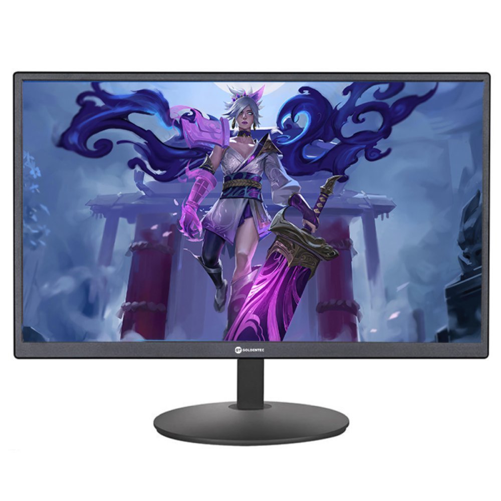 Monitor LED 19 Widescreen com HDMI Goldentec