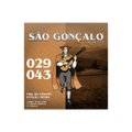 Encordoamento para Violão em Nylon Cristal São Gonçalo