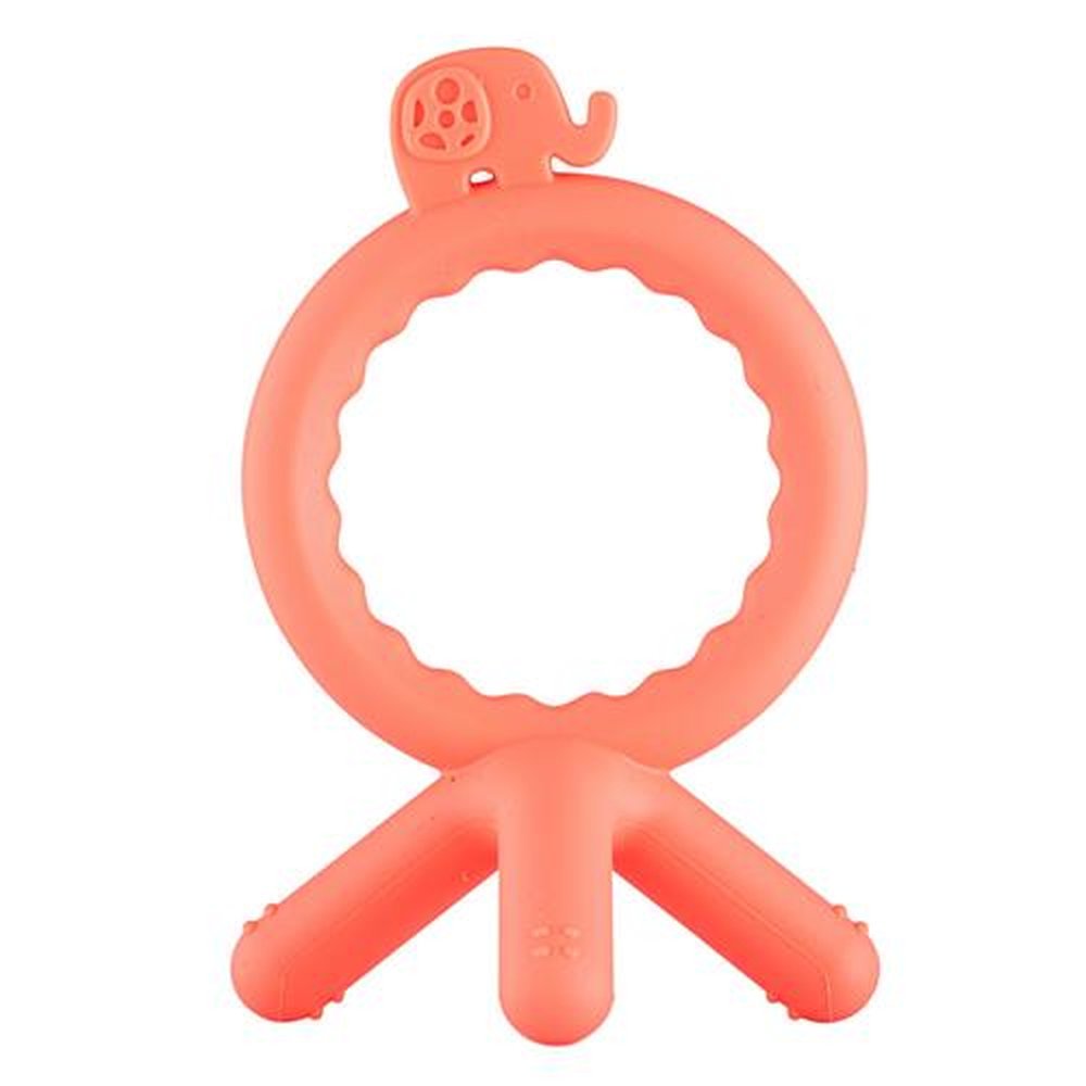 Kit Mordedor Infantil Bichinho Unissex Pimpolho Com 12 Unidades.