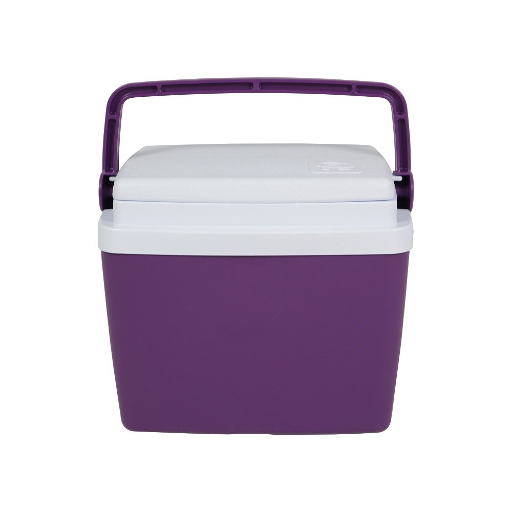 Caixa Térmica 6 Litros Açai Bel