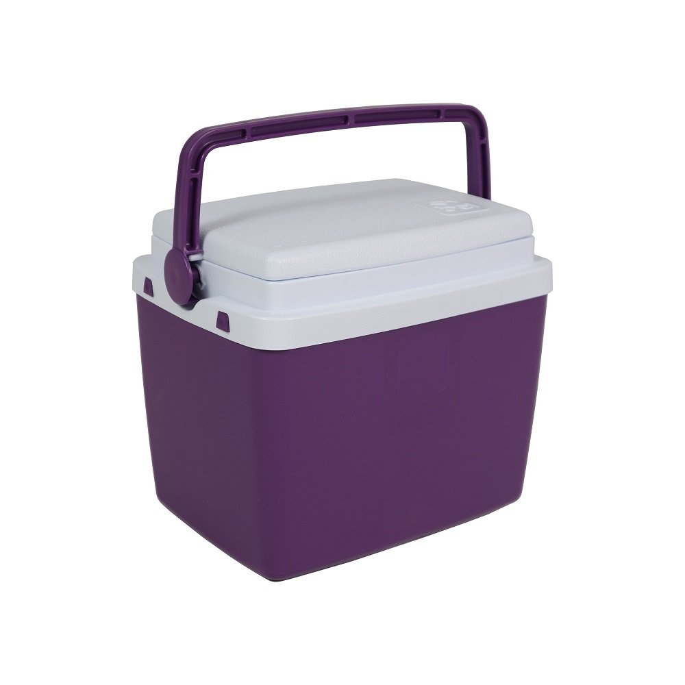 Caixa Térmica 6 Litros Açai Bel