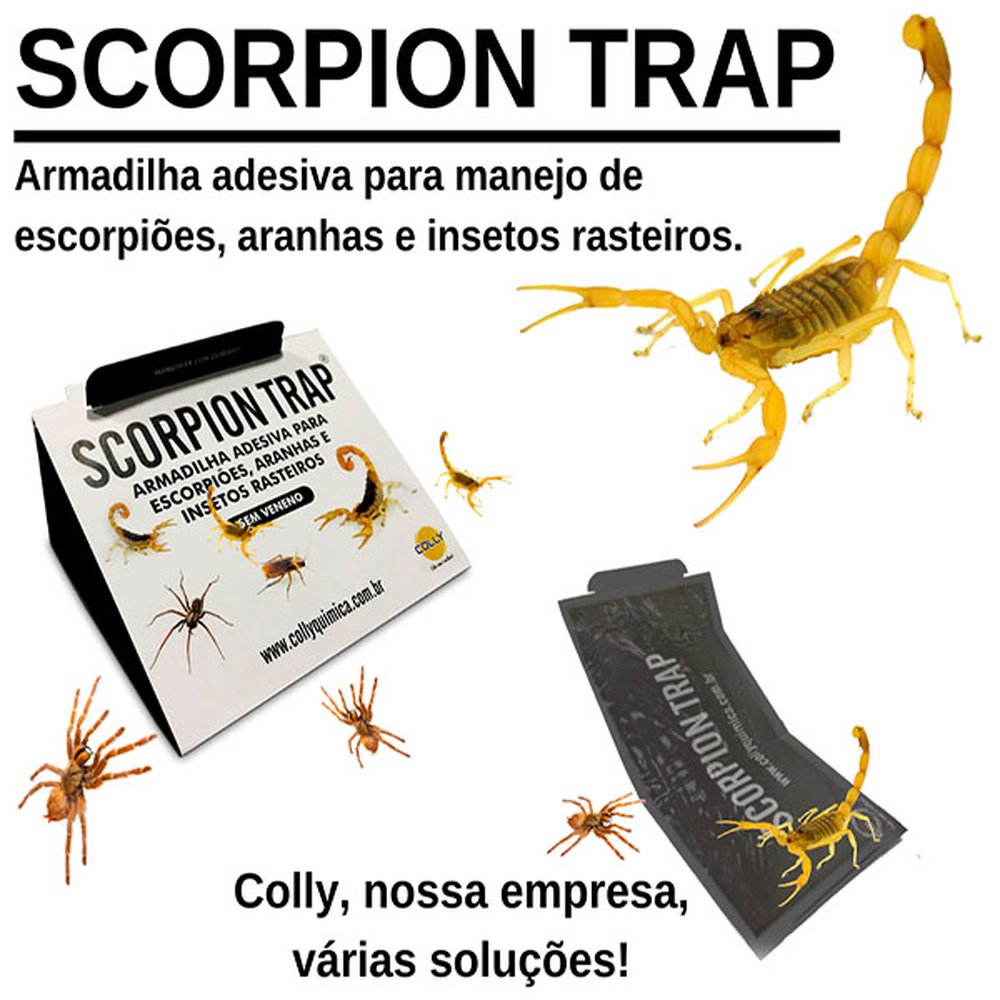 Armadilha para Captura de Escorpiões Scorpion Trap - Emb. contém 120 unidades