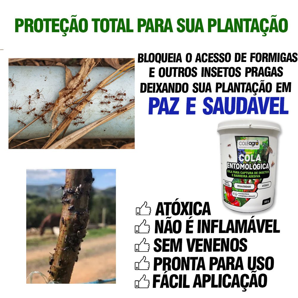 Cola Entomológica Armadilha Adesiva Para Insetos 500 Gramas - Emb. Contém 12 Unidades