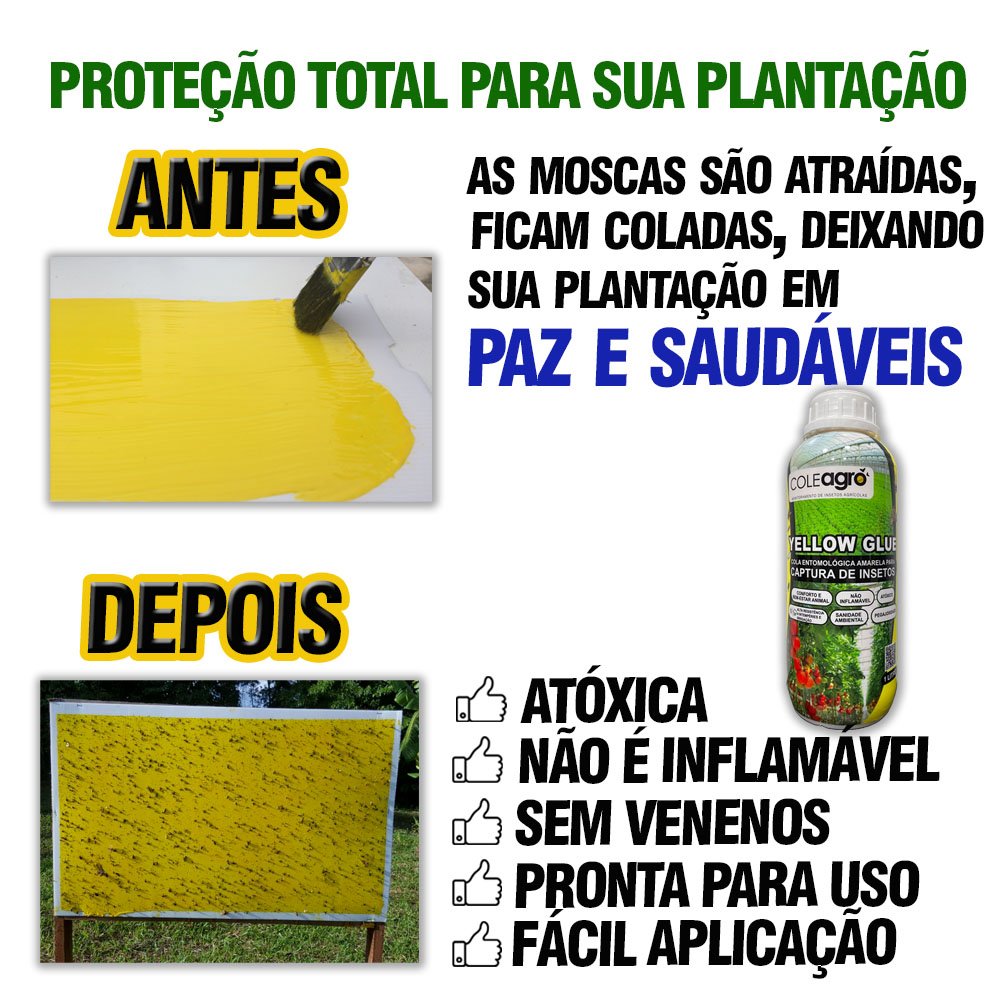 Cola Entomológica Amarela Captura Adesiva Para Insetos - Yellow Glue 1 Litro - Emb. Contém 12 Unidades