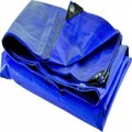 Lona De Polietileno 150 Micras Azul Uv 4x7