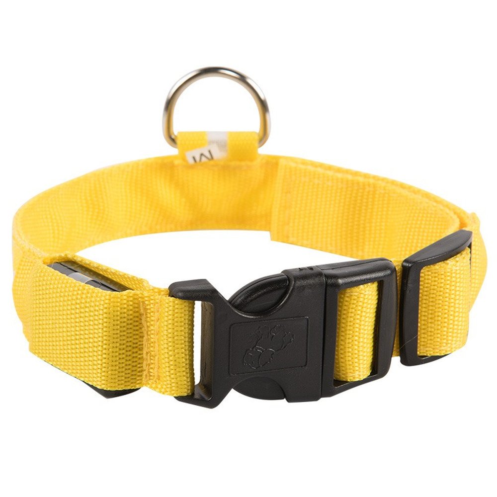 Coleira Led Amarelo P