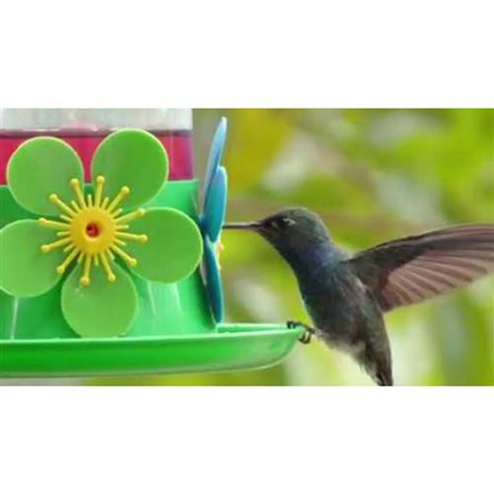 Kit 3 Bebedouro Beija Flor luxo com Chapéu e Bandeja Gbmax