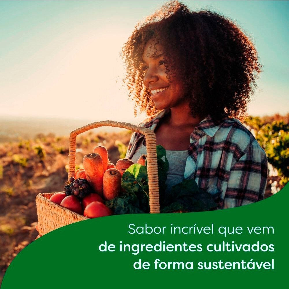 Tempero em Pó Knorr para Feijão 50g - Embalagem com 24 Unidades