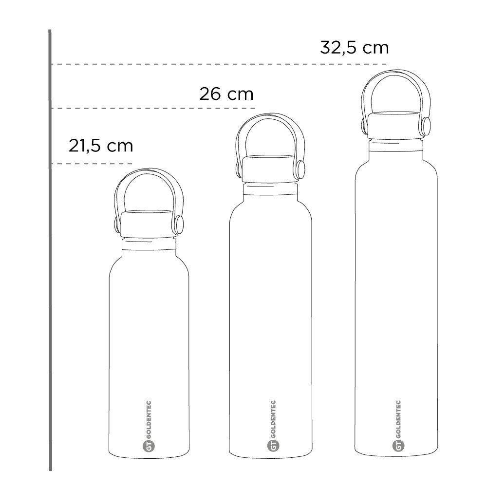Garrafa Térmica GT Thermos Inox 750 ml para Bebidas Quentes ou Frias e Tampa com Alça - Cinza | GT