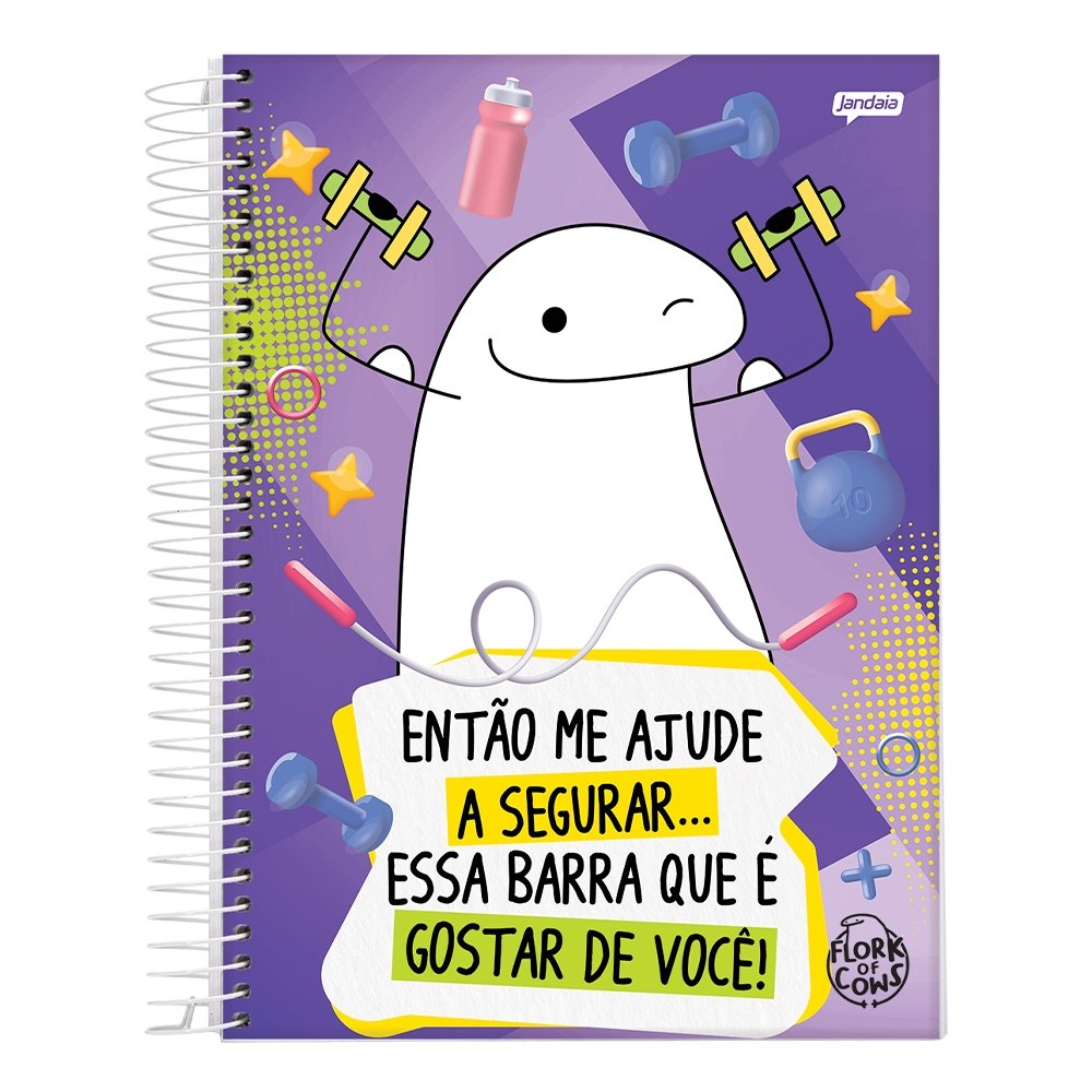 Caderno Espiral Jandaia Universitário Capa Dura Flork 1 Matéria 80 Folhas Embalagem com 4 Unidades