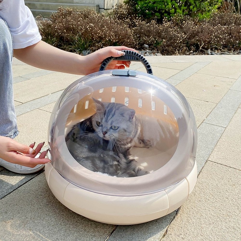 Caixa De Transporte Gatos Bolha