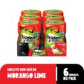 Chiclete Trident  XSenses Morango Lime sem Açúcar Garrafa 54g - Caixa com 6 Unidades