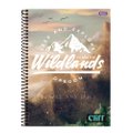 Caderno Espiral Universitário Foroni Capa Dura Cliff Masculino 20 Matérias 320 Folhas -  Embalagem com 2 Unidades