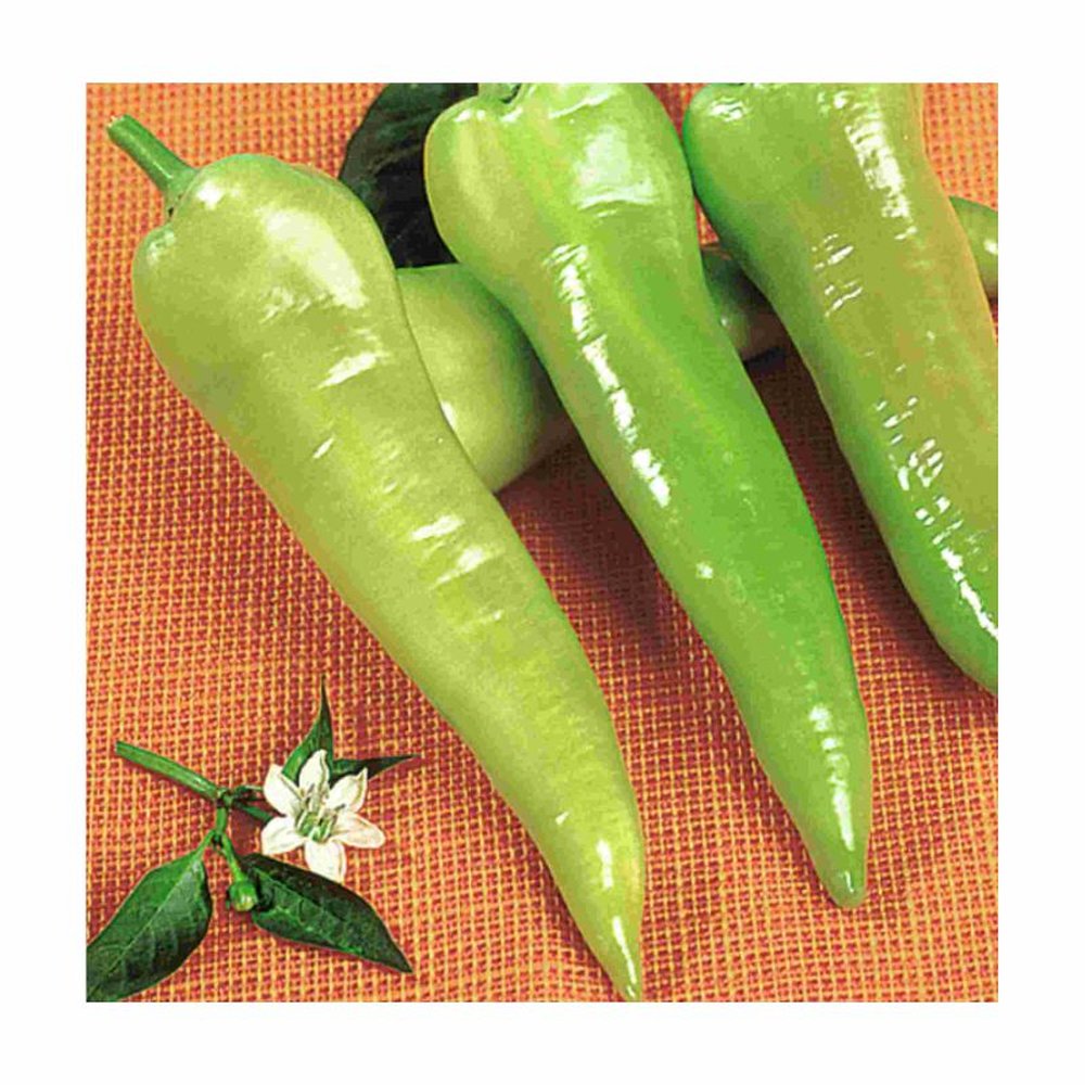 Sementes de Hortaliças Feltrin Pimenta Doce Comprido Conserva - Envelope com 400mg