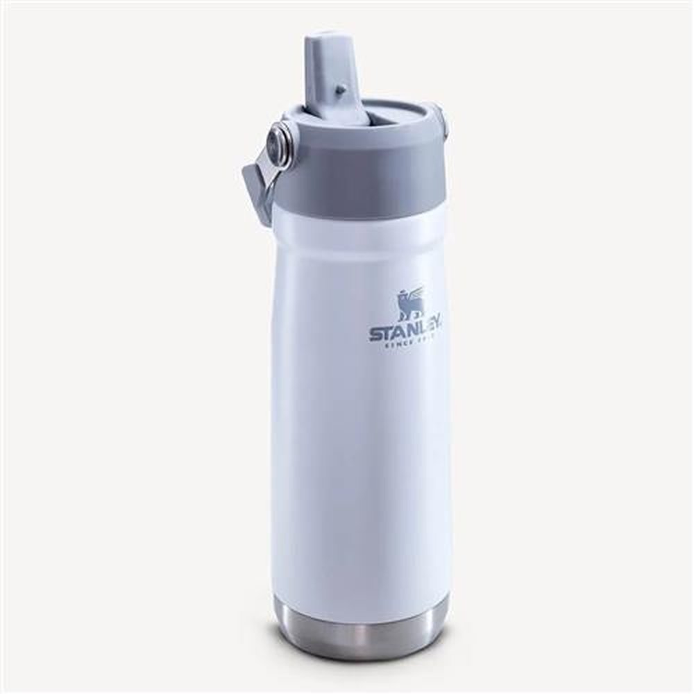 Garrafa Térmica Flip Straw 651ml Polar