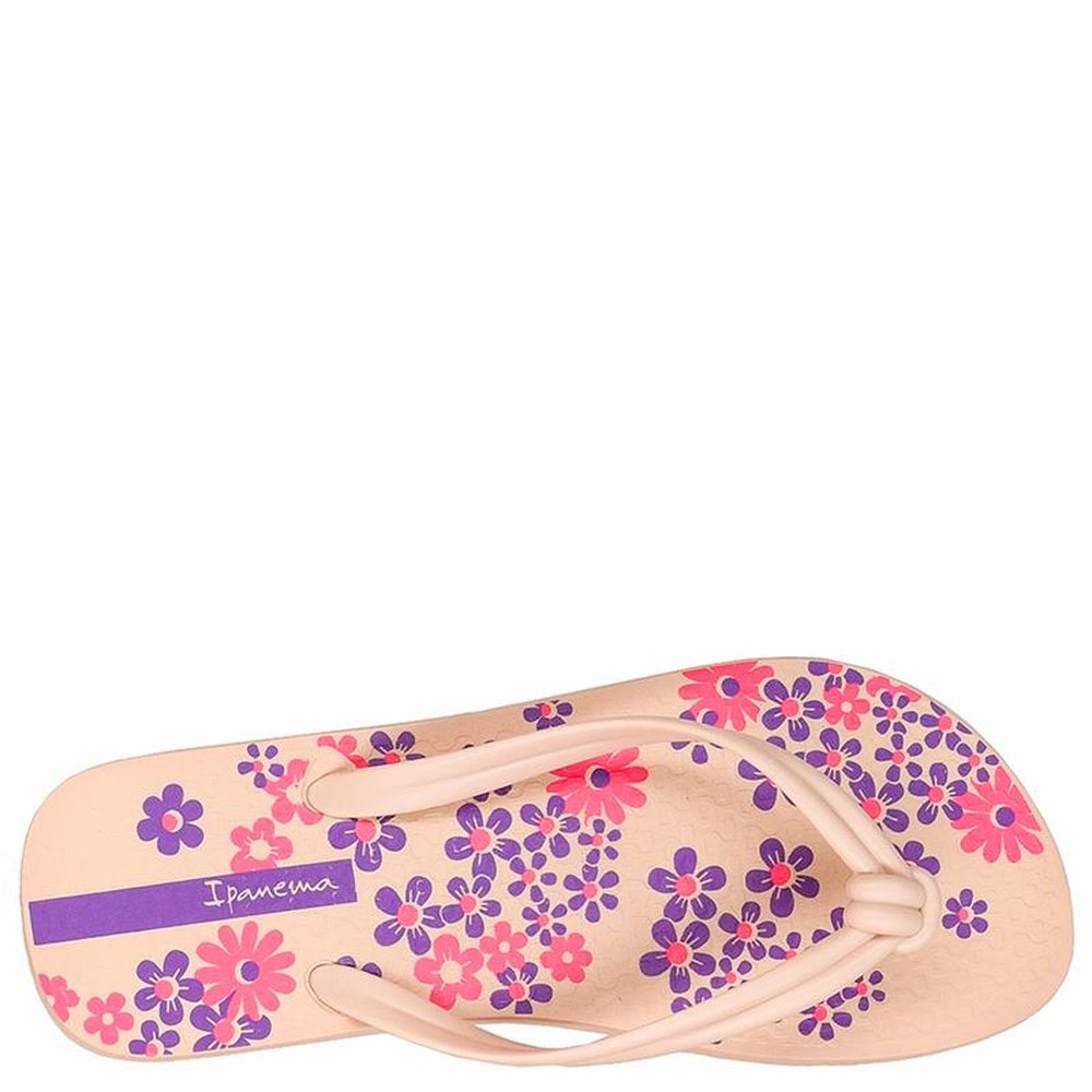 Chinelo Ipanema Elo Print Bege - Lilás - Grade com 12 pares