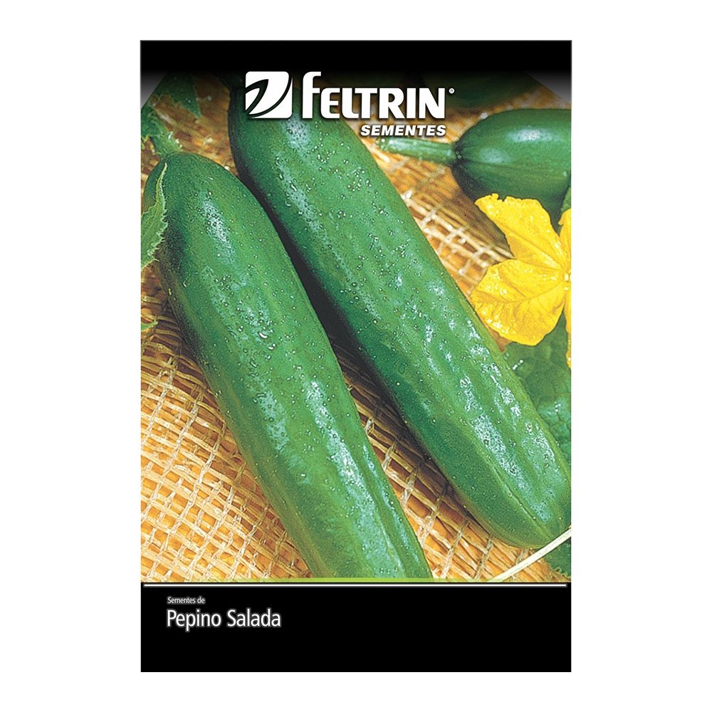 Sementes de pepino Aodai Feltrin 1g - Embalagem com 25 Unidades