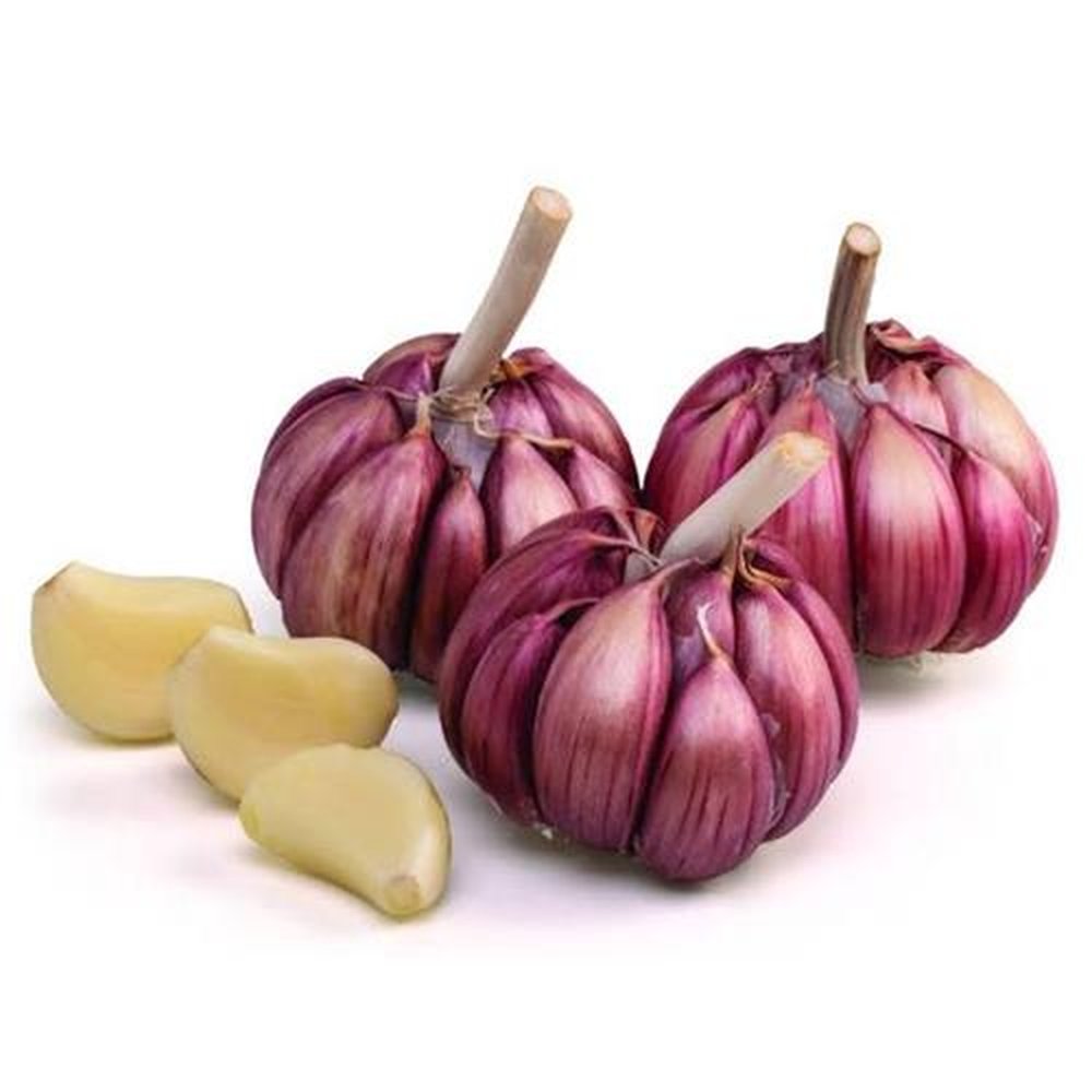 Alho Roxo 10kg