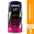 Engov UP Morango e Kiwi 269ml - Embalagem com 6 Unidades