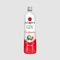 Gin Eternity Melancia 900ml