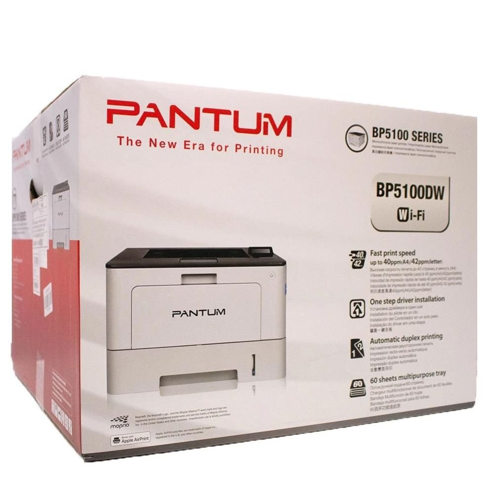 Impressora Pantum Bp5100dw Laser Mono