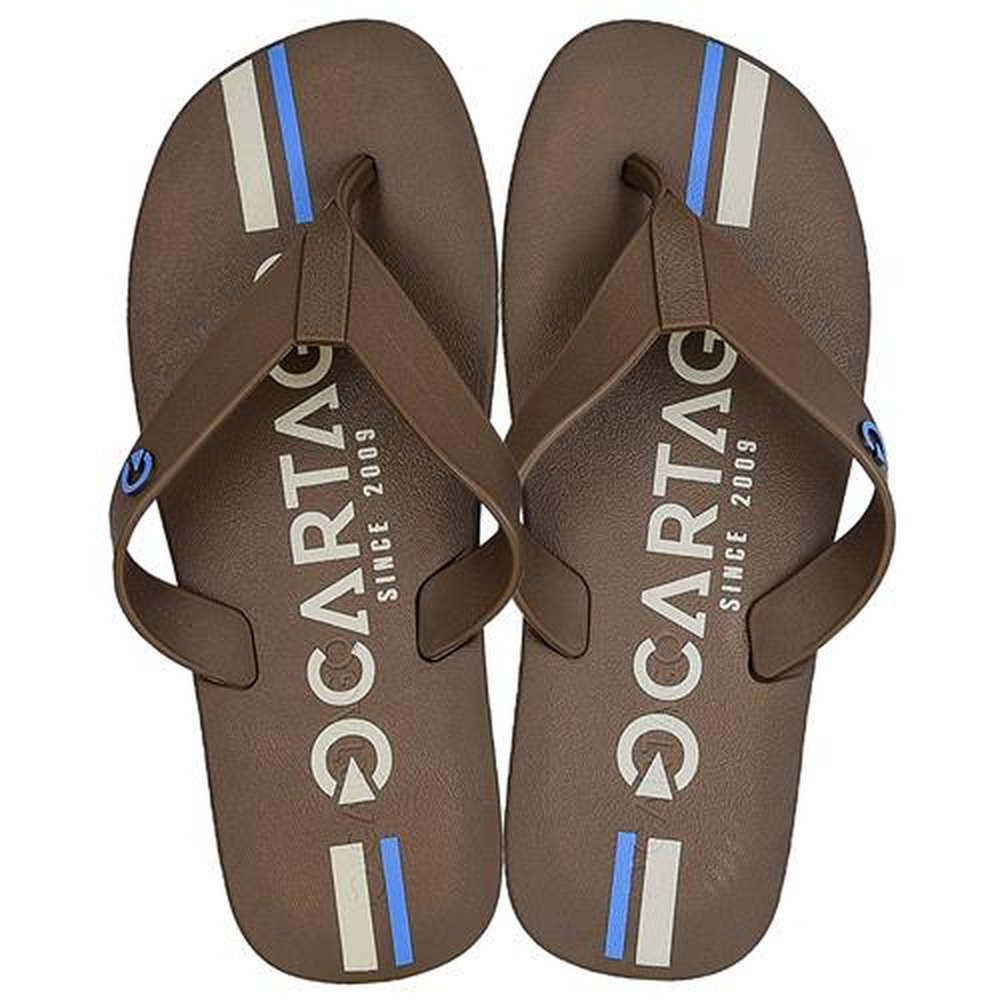 Chinelo Masculino Cartago Atlanta Marrom - Grade com 12 pares