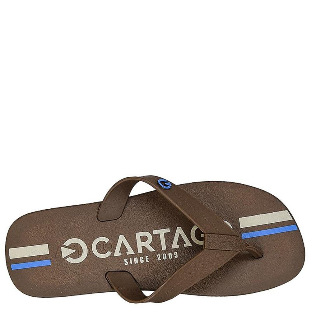 Chinelo Masculino Cartago Atlanta Marrom - Grade com 12 pares