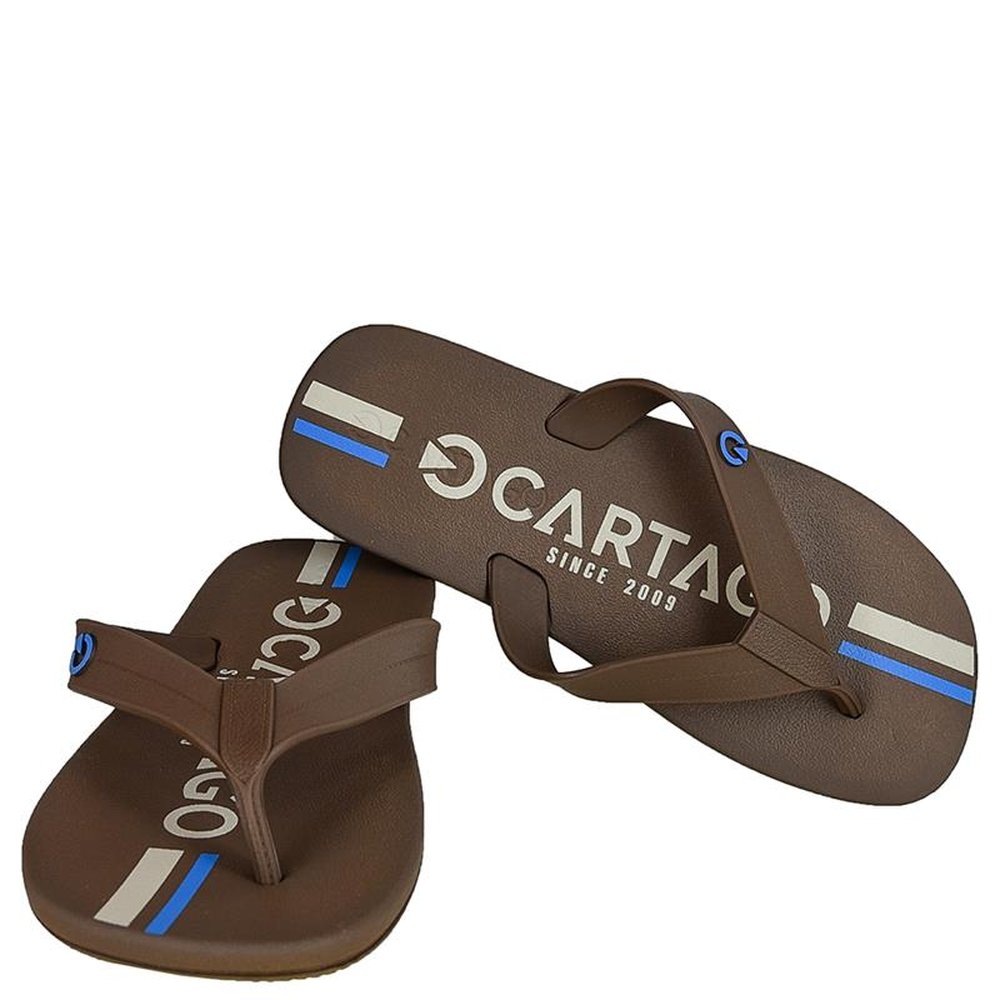 Chinelo Masculino Cartago Atlanta Marrom - Grade com 12 pares