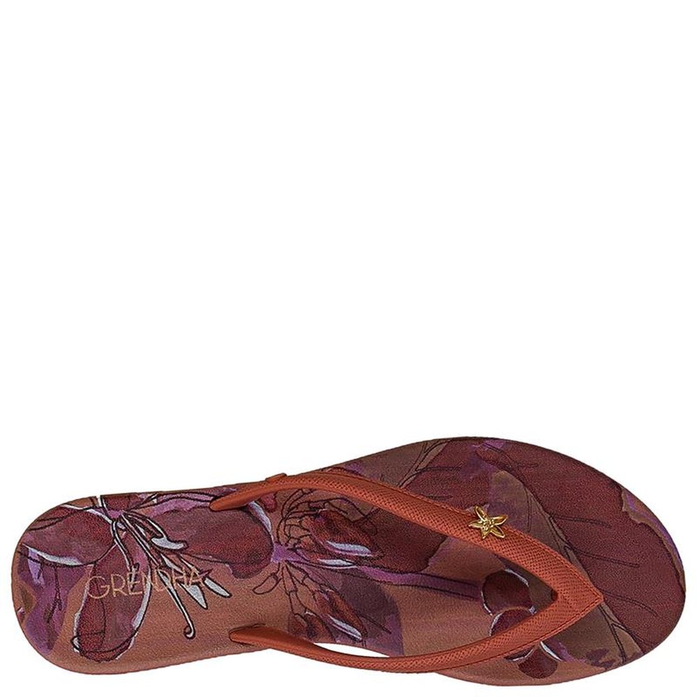Sandalia Grendha Cacau Cafe Nude - Grade com 12 pares