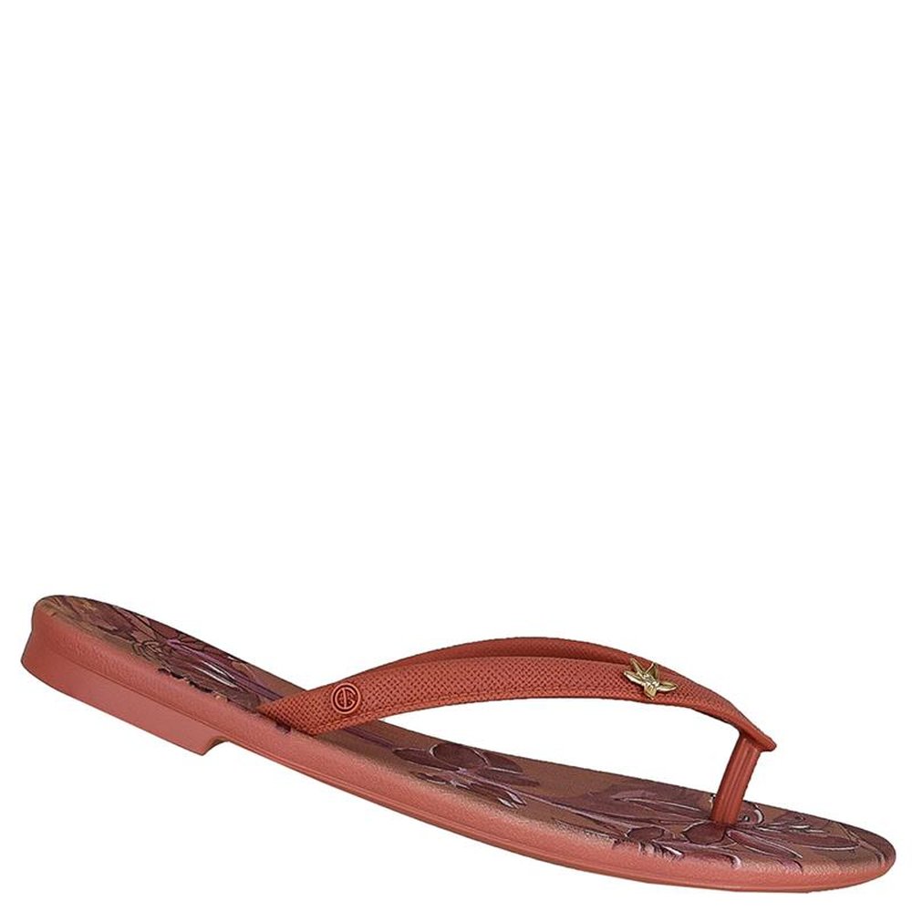 Sandalia Grendha Cacau Cafe Nude - Grade com 12 pares