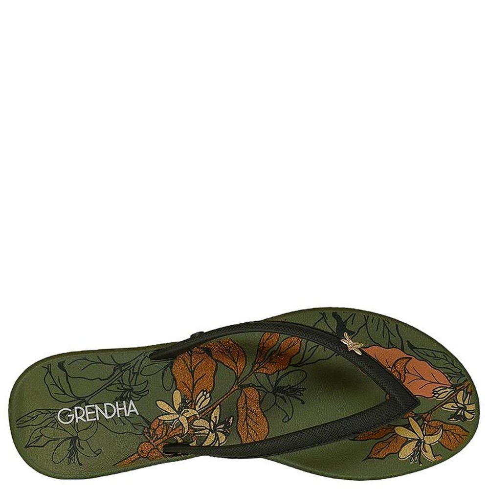 Sandalia Grendha Cacau Cafe Verde Escuro - Grade com 12 pares
