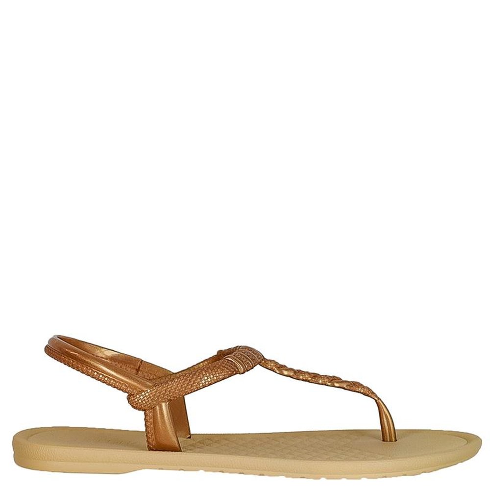 Sandalia Grendha Todo Dia Dourado - Bege - Grade com 12 pares