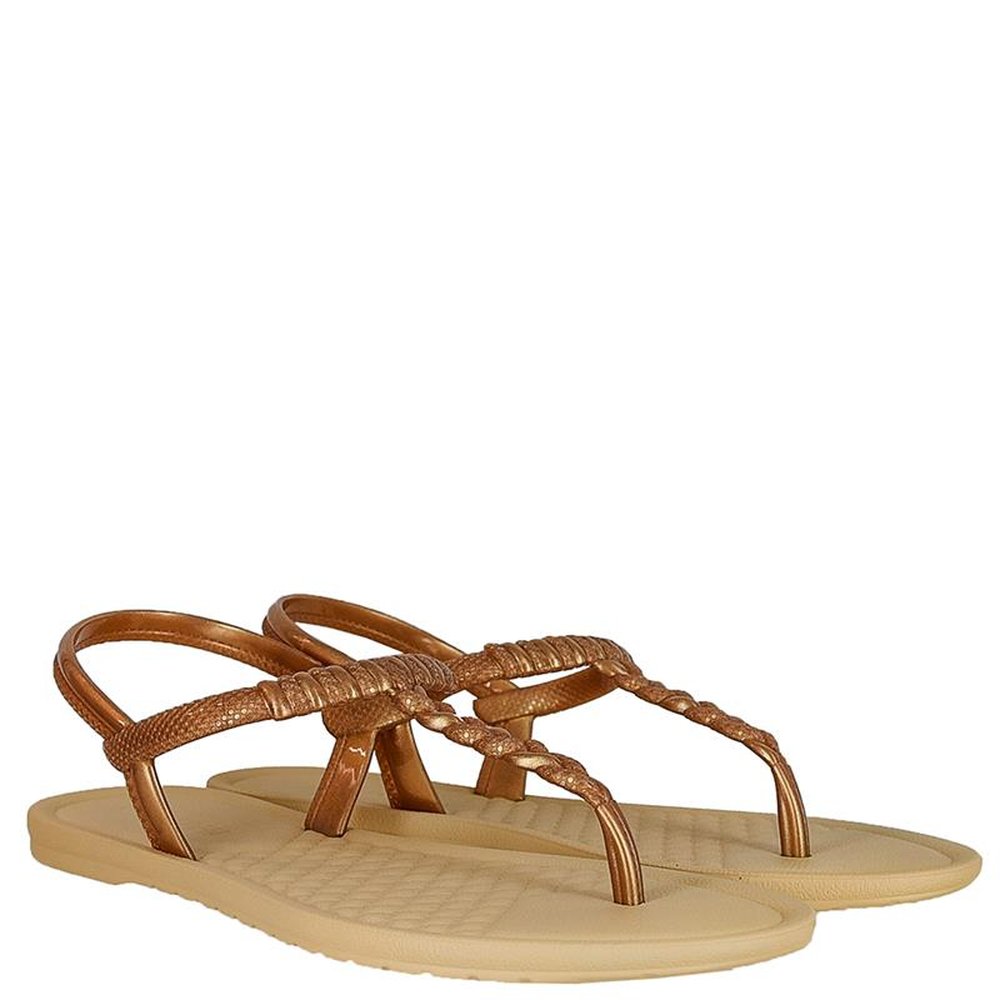 Sandalia Grendha Todo Dia Dourado - Bege - Grade com 12 pares