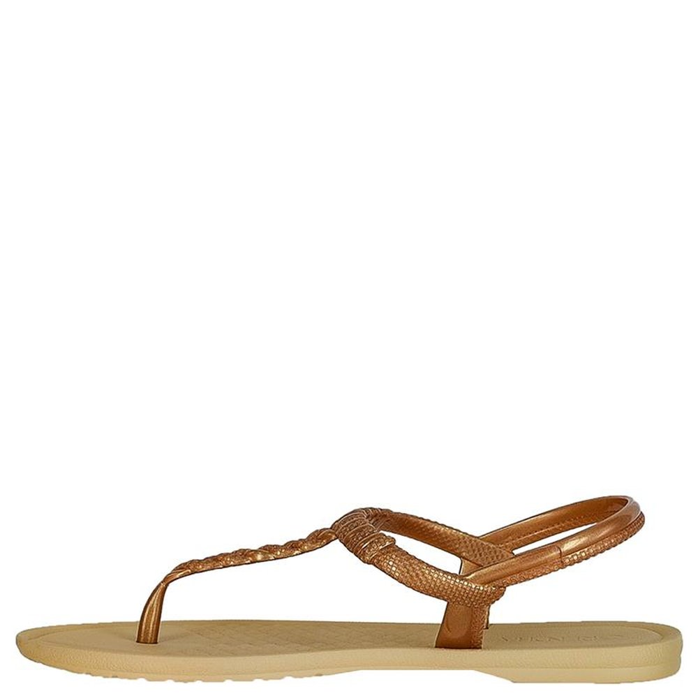 Sandalia Grendha Todo Dia Dourado - Bege - Grade com 12 pares