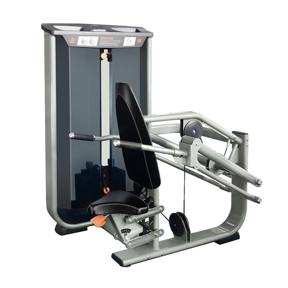Dip Machine Vita -180 LBS - Wellness - EM041