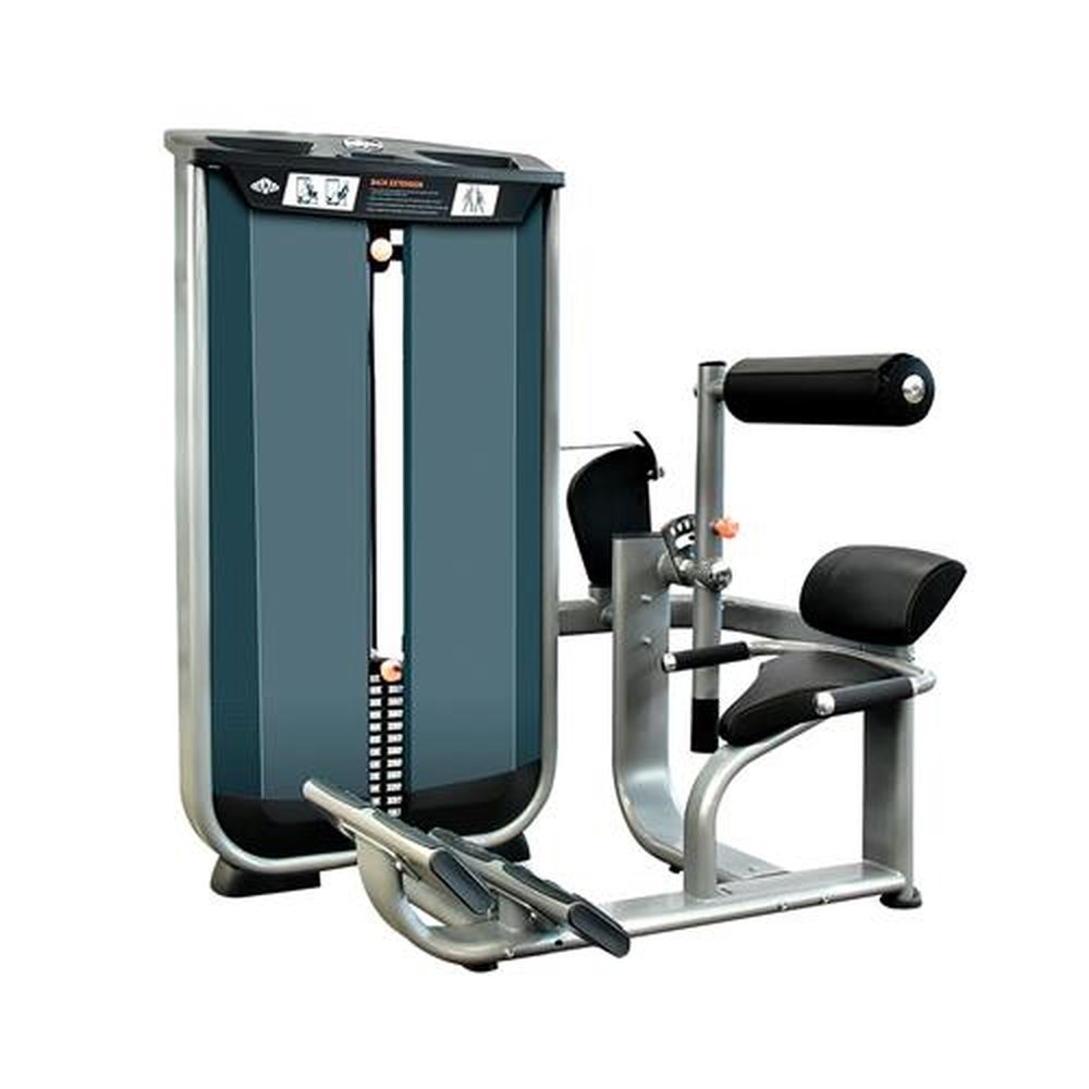 Back Extension Vita - 180 LBS - (81KG) - Wellness - EM051