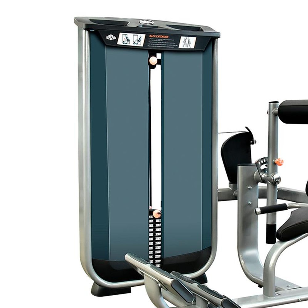 Back Extension Vita - 180 LBS - (81KG) - Wellness - EM051