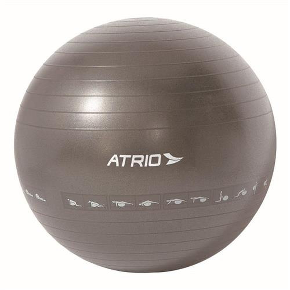 Bola de Ginastica Premium 65 CM Diagrama de Exercícios Cinza PVC Atrio - ES216